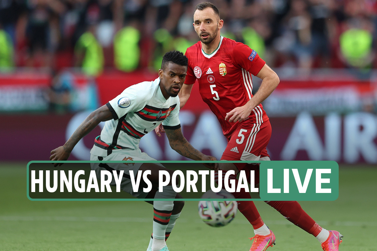 Hungaria vs portugal live